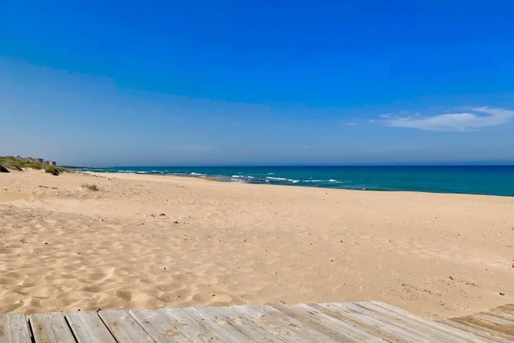 Azul Beach By La Mata Beach Torrevieja Exterior photo